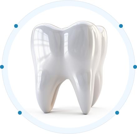 Porcelain dental tooth illustration with protective clinical border
